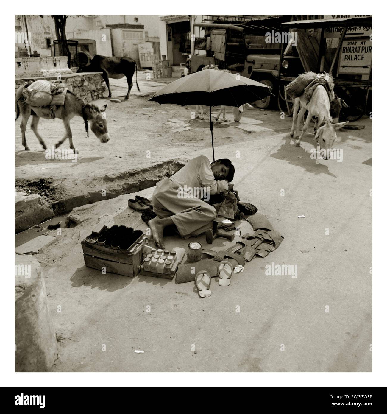 Un ragazzo lustrascarpe fa un pisolino sotto la sua umberalla nella città di Agra, in India. Foto Stock