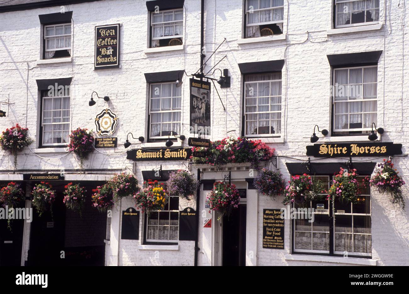Regno Unito, Yorkshire, York, la Shire Horses Public House. Foto Stock