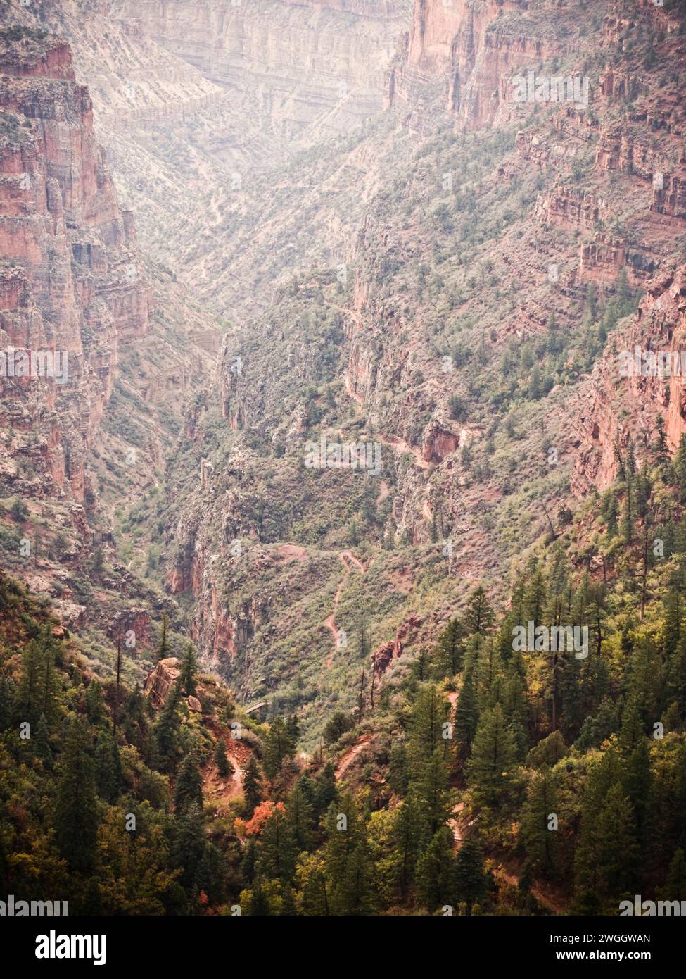 North Kaibab Trail, parco nazionale del Grand Canyon Foto Stock