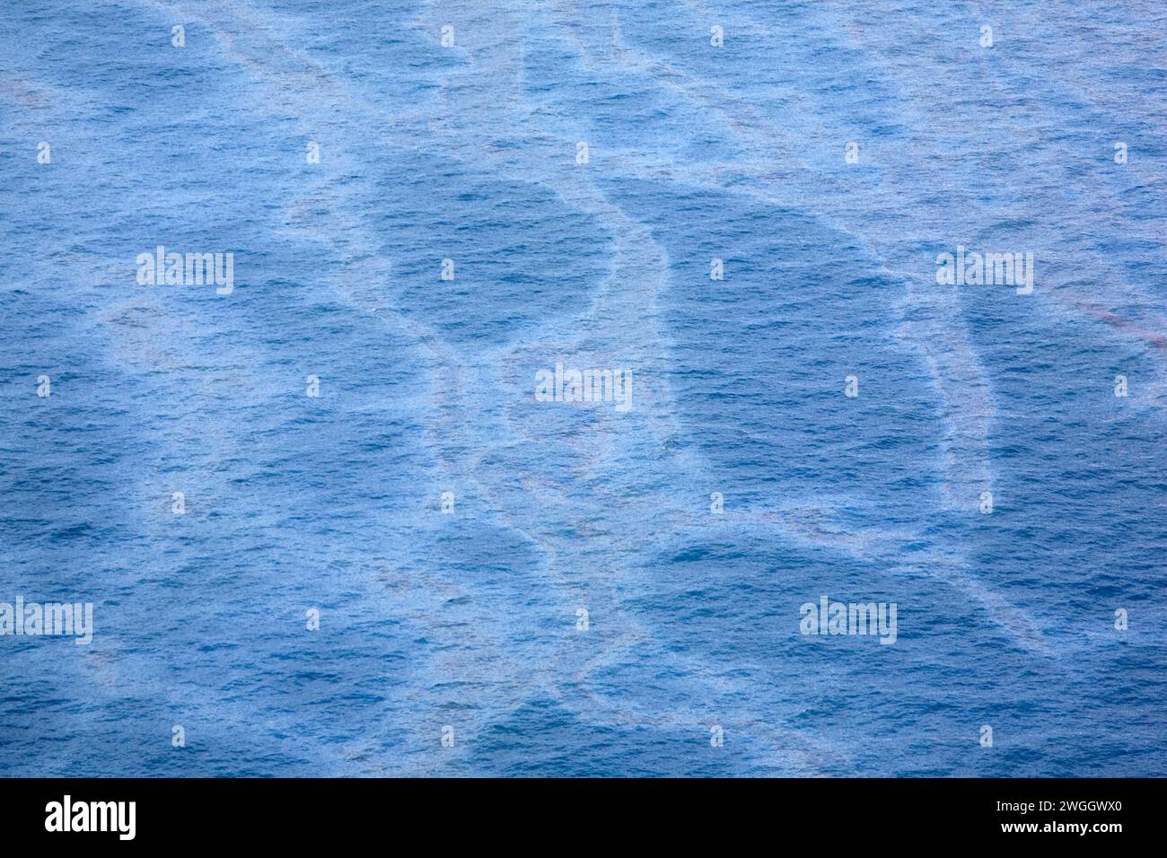 Maree di petrolio che coprono la superficie del Golfo del Messico dopo la fuoriuscita di Deepwater Horizon Oil nel 2010, Grand Isle, Louisiana, USA Foto Stock