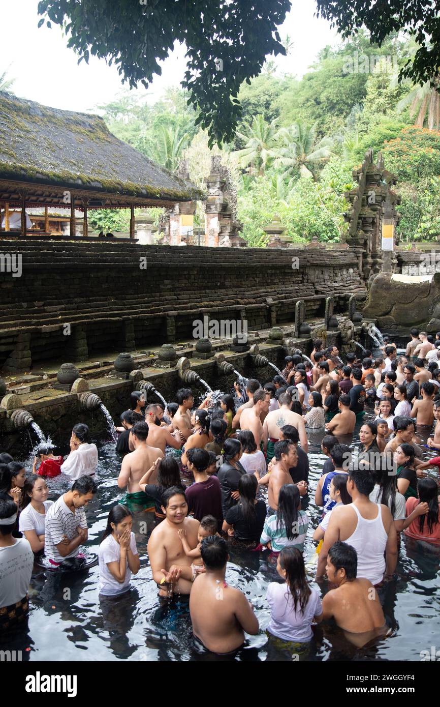 Indonesiani e turisti che fanno il rituale di purificazione al tempio di Tirta Foto Stock
