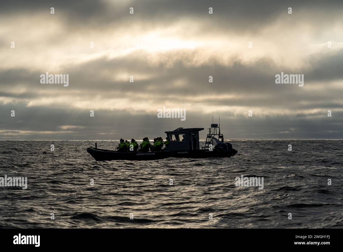 Un gruppo di individui intraprende un viaggio panoramico intorno all'isola in una barca compatta Foto Stock