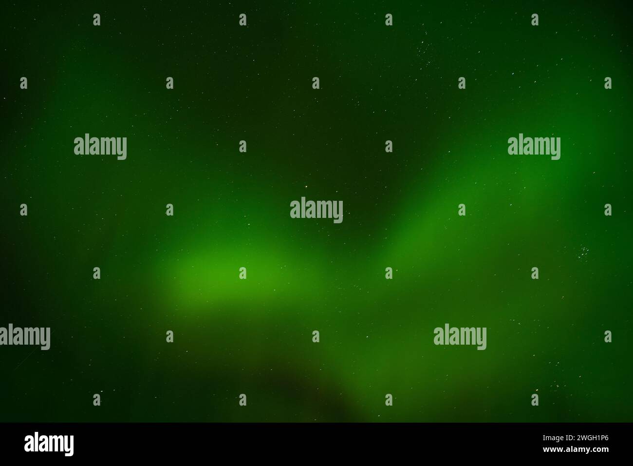 Un'incantevole aurora boreale illumina il cielo notturno, proiettando un brillante bagliore sul paesaggio innevato Foto Stock