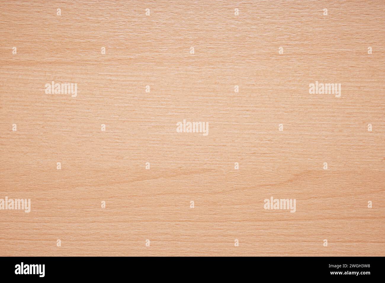 Vista dall'alto del legno per lo sfondo, tavolo in legno chiaro con colore naturale, sfondo astratto Foto Stock