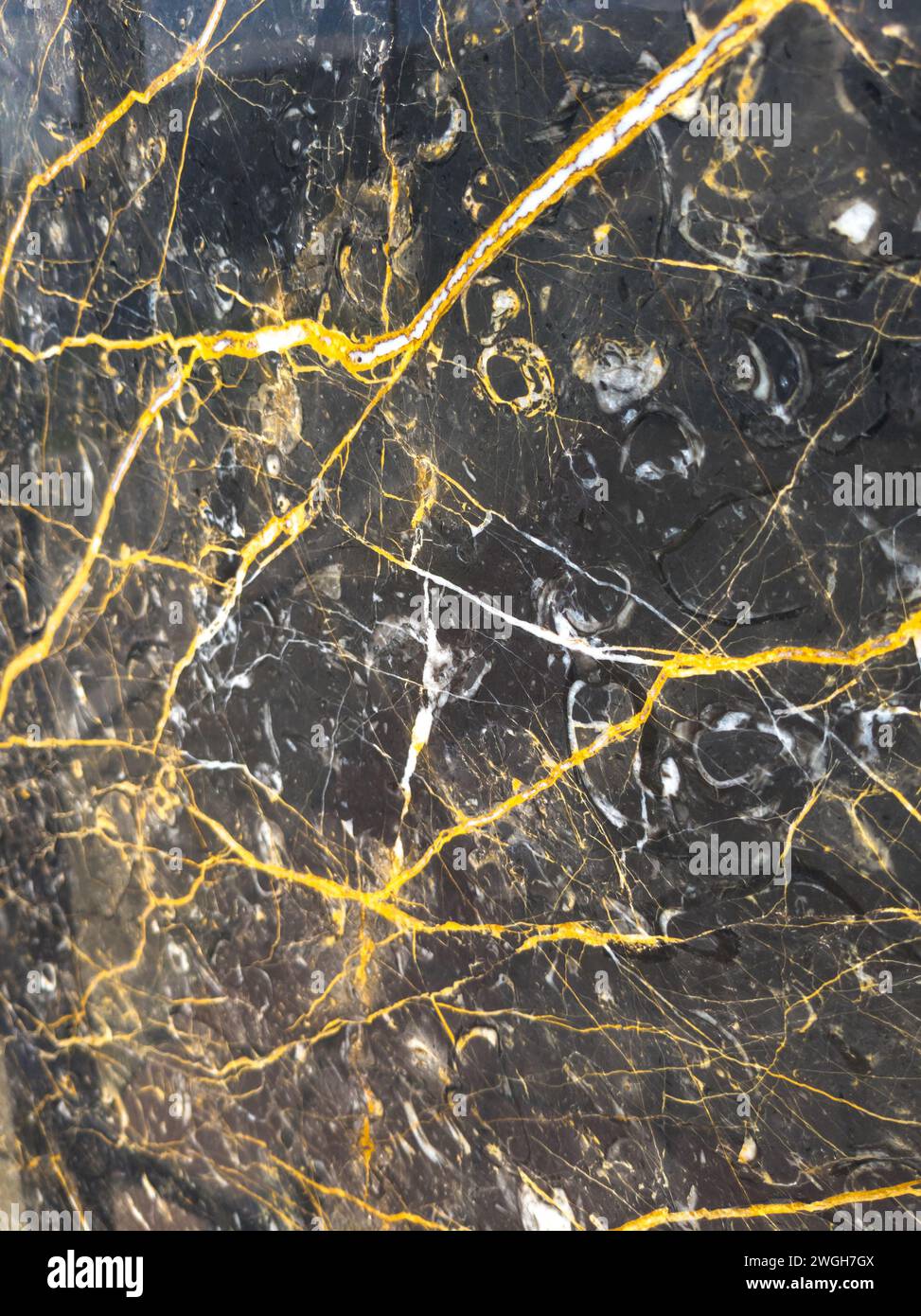 blocco di marmo nero con venature gialle Foto Stock