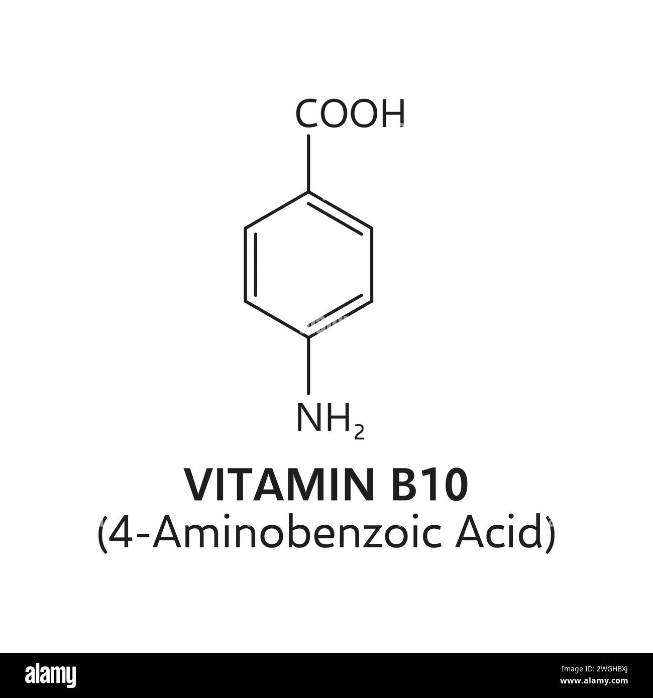 Vitamina b10, formula molecolare dell'acido 4-aminobenzoico. Vector C7h7no2, mostra elementi strutturali e informazioni essenziali su questo nutriente vitale che gioca un ruolo nella funzione cellulare complessiva Illustrazione Vettoriale