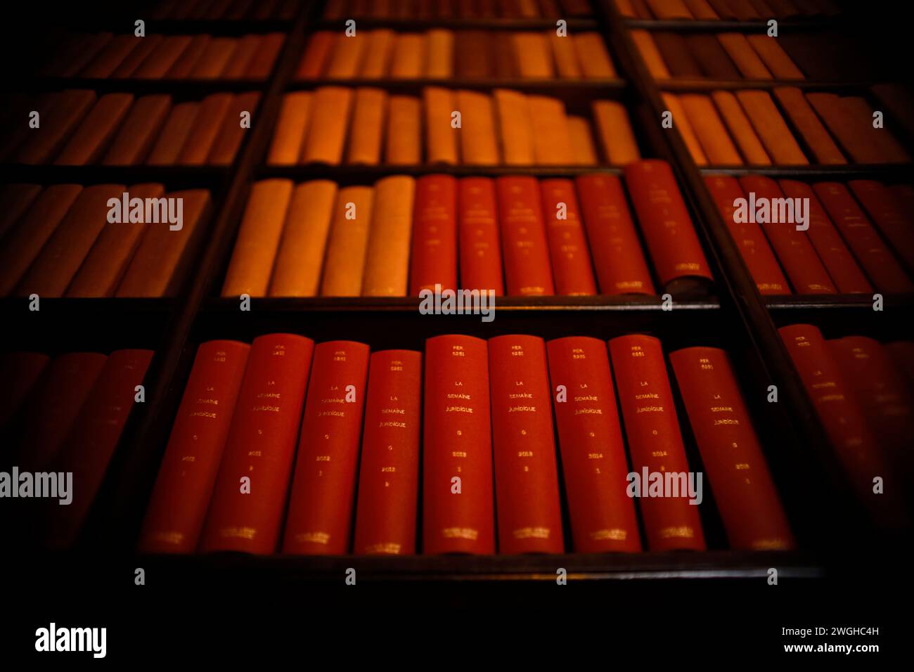 Libri di legge francesi con copertina rigida d'epoca con scritte dorate su una libreria di legno scuro, per un'atmosfera classica da biblioteca. Foto Stock