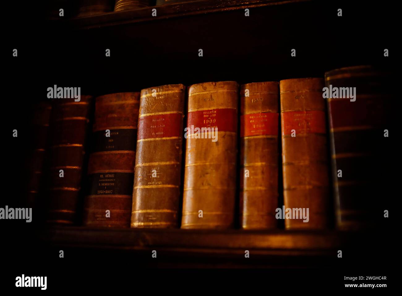 Libri di legge francesi con copertina rigida d'epoca con scritte dorate su una libreria di legno scuro, per un'atmosfera classica da biblioteca. Foto Stock