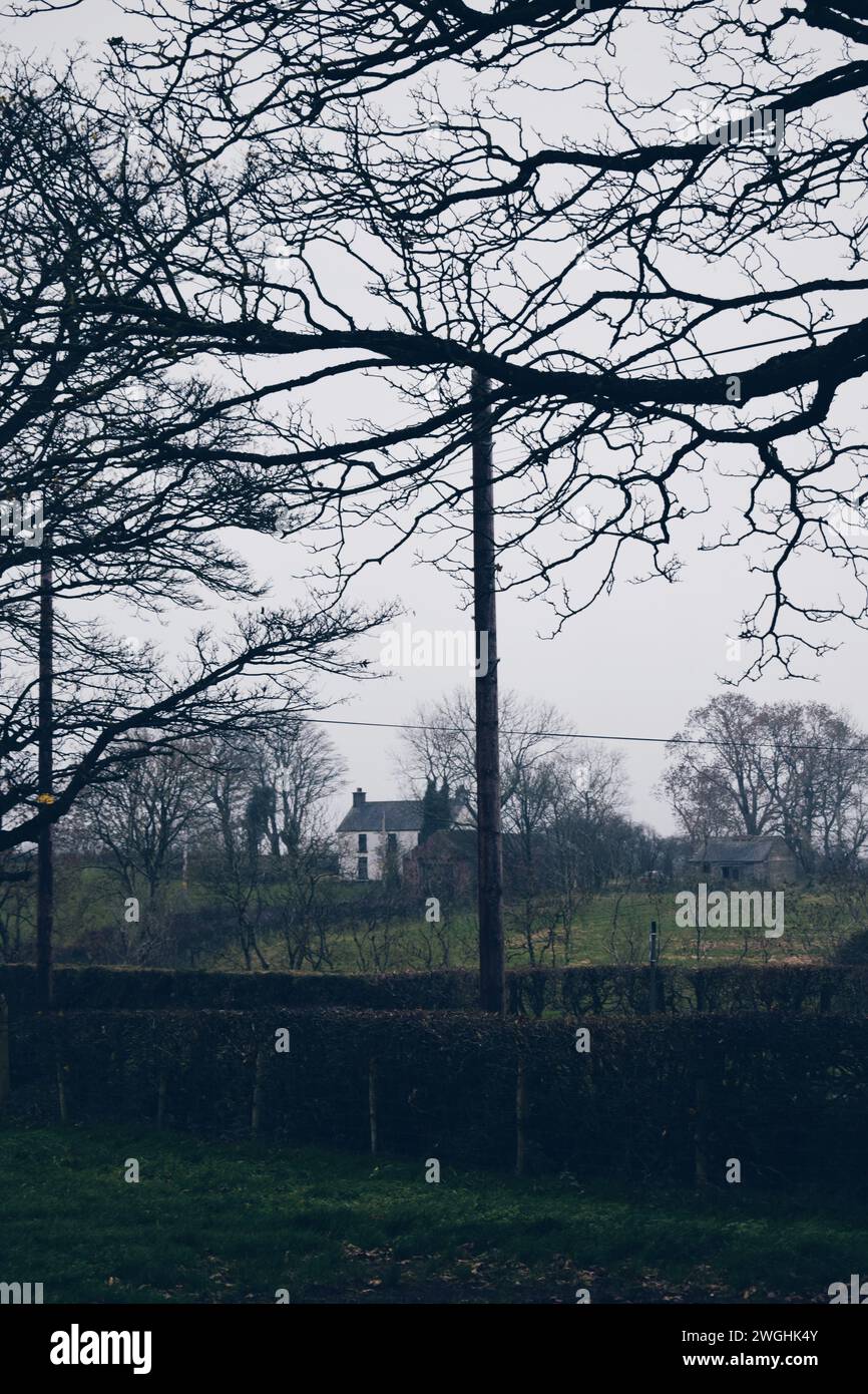 Casa solitaria su una piccola collina nell'Irlanda del Nord, 20 novembre 2019 Foto Stock