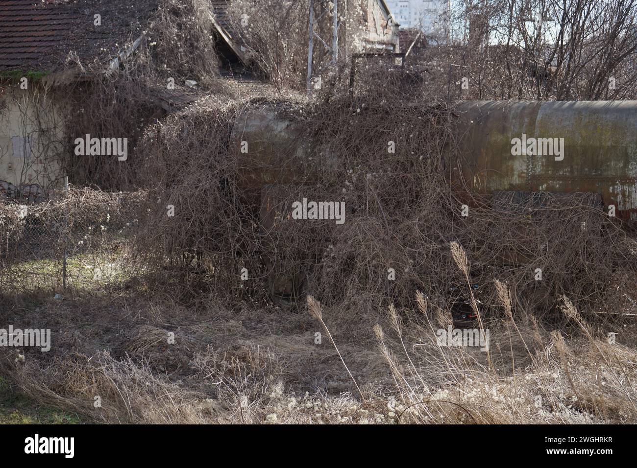Vecchio carro armato abbandonato Foto Stock