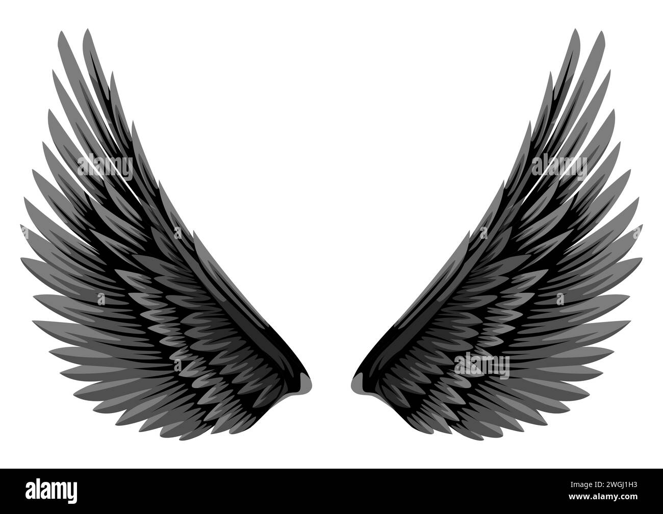 Semplice illustrazione vettoriale piatta di ali in bianco e nero isolate su bianco Illustrazione Vettoriale