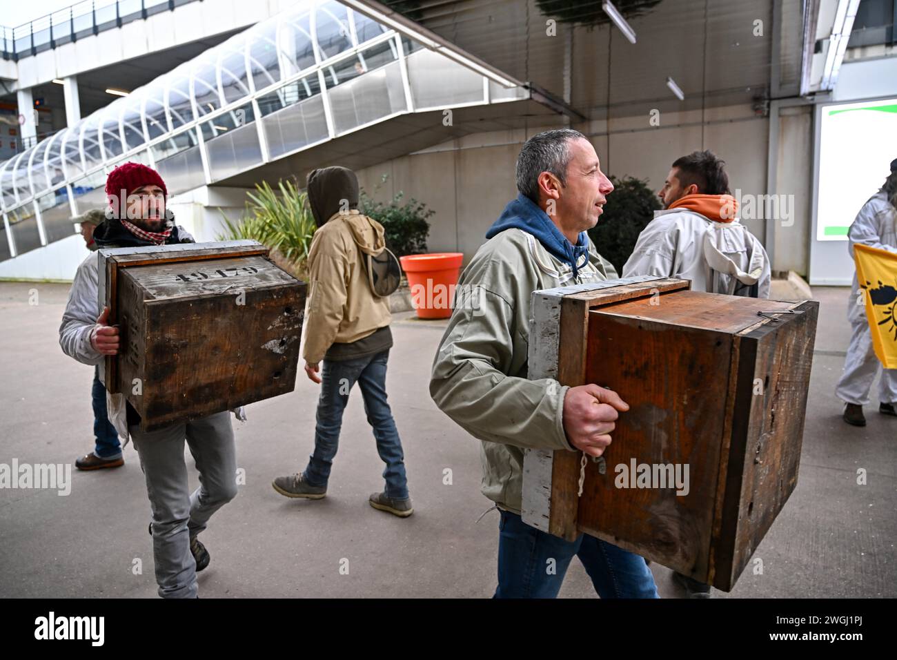 © PHOTOPQR/OUEST FRANCE/Franck Dubraý ; Rezé ; 05/02/2024 ; Une cinquantaine d'apiculteurs venus de tout l'Ouest, ont mené une action, ce lundi 5 février, dans le Leclerc Atout sud, à Rezé près de Nantes pour retirer le miel étranger des rayons du supermarché Leclerc. (Foto Franck Dubray) REZE FRANCE, 5 febbraio 2024 circa cinquanta apicoltori della Francia occidentale raccolgono miele da stranieri a Leclerc, come parte della protesta agricola credito: MAXPPP/Alamy Live News Foto Stock