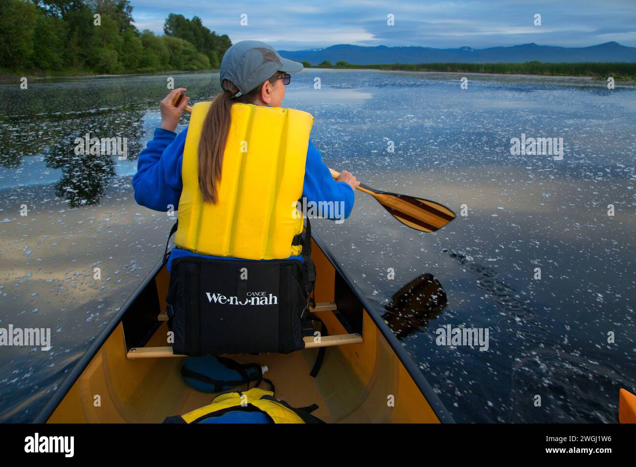 Il canottaggio, il legno delle paludi del fiume, Klamath Falls District Bureau of Land Management, Oregon Foto Stock