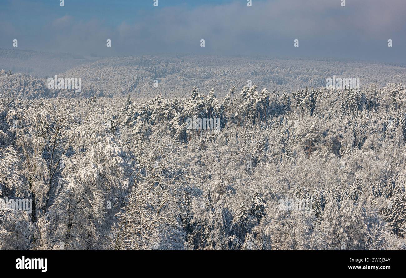 Der Winter Hat Die Landschaft rund um die deutsche Gemeinde Degernau, welche ein Ortssteil von Wutöschingen ist, Fest im Griff. ( Degernau, Deutschlan Foto Stock