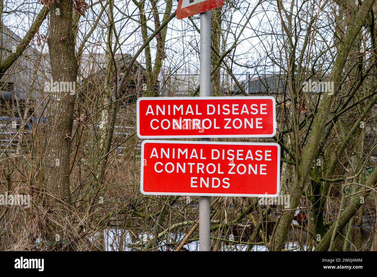 Zona di controllo delle malattie degli animali, cartello di avvertimento vicino all'azienda agricola nel Cheshire Regno Unito Foto Stock