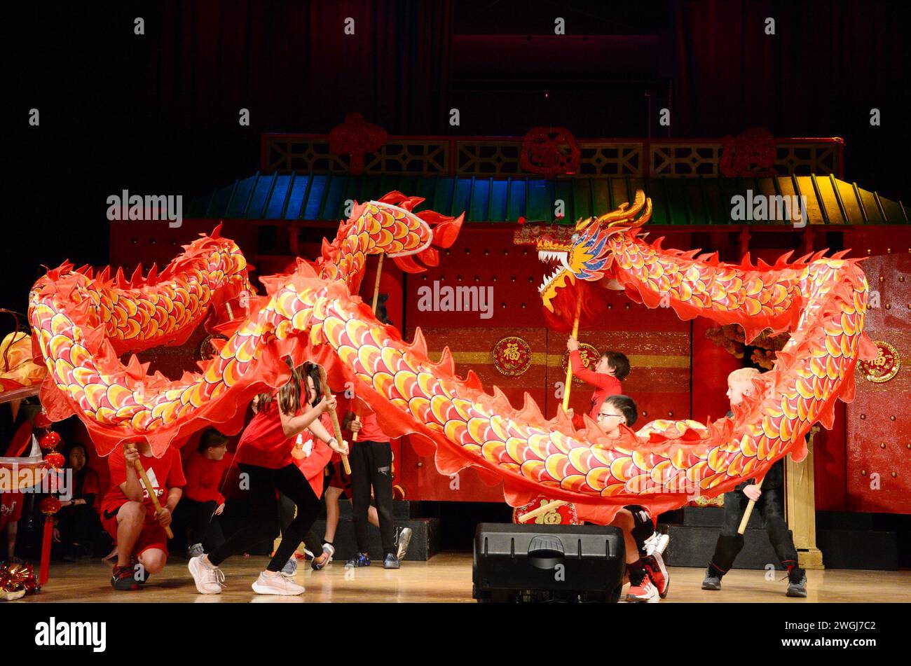 Phoenix, Stati Uniti. 4 febbraio 2024. Gli studenti locali a Phoenix eseguono la danza del drago cinese al 34th Phoenix Chinese Week Culture and Cuisine Festival a Phoenix, Arizona, Stati Uniti, il 4 febbraio 2024. Questo fine settimana, nella capitale dell'Arizona, oltre 20.000 residenti locali hanno sperimentato le attrazioni, i suoni e i sapori del 34° Festival della Cultura e della cucina della settimana Cinese di Phoenix. Crediti: Sui Xuguang/Xinhua/Alamy Live News Foto Stock