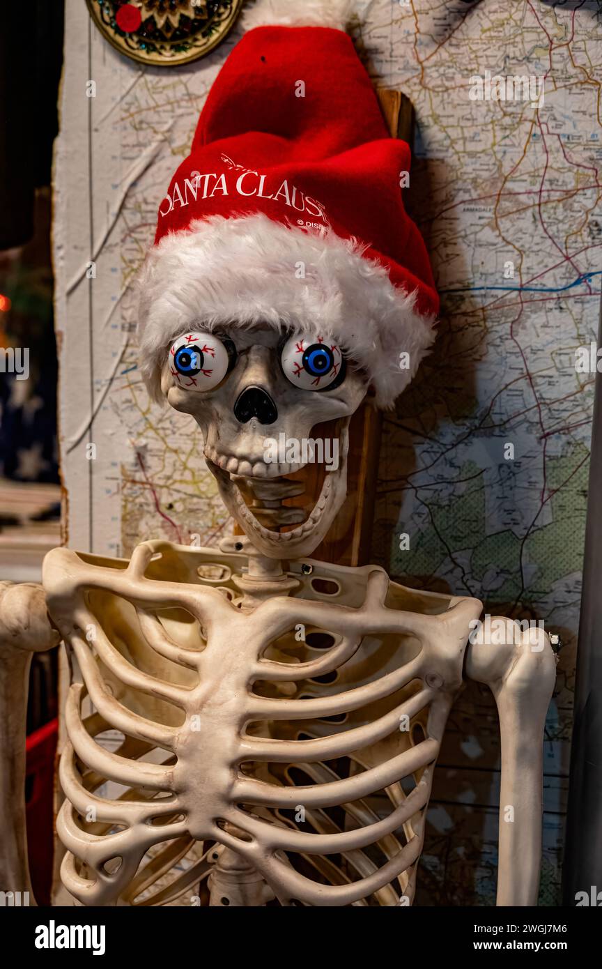 Divertimento natalizio con scheletro che indossa il cappello di babbo natale. Foto Stock