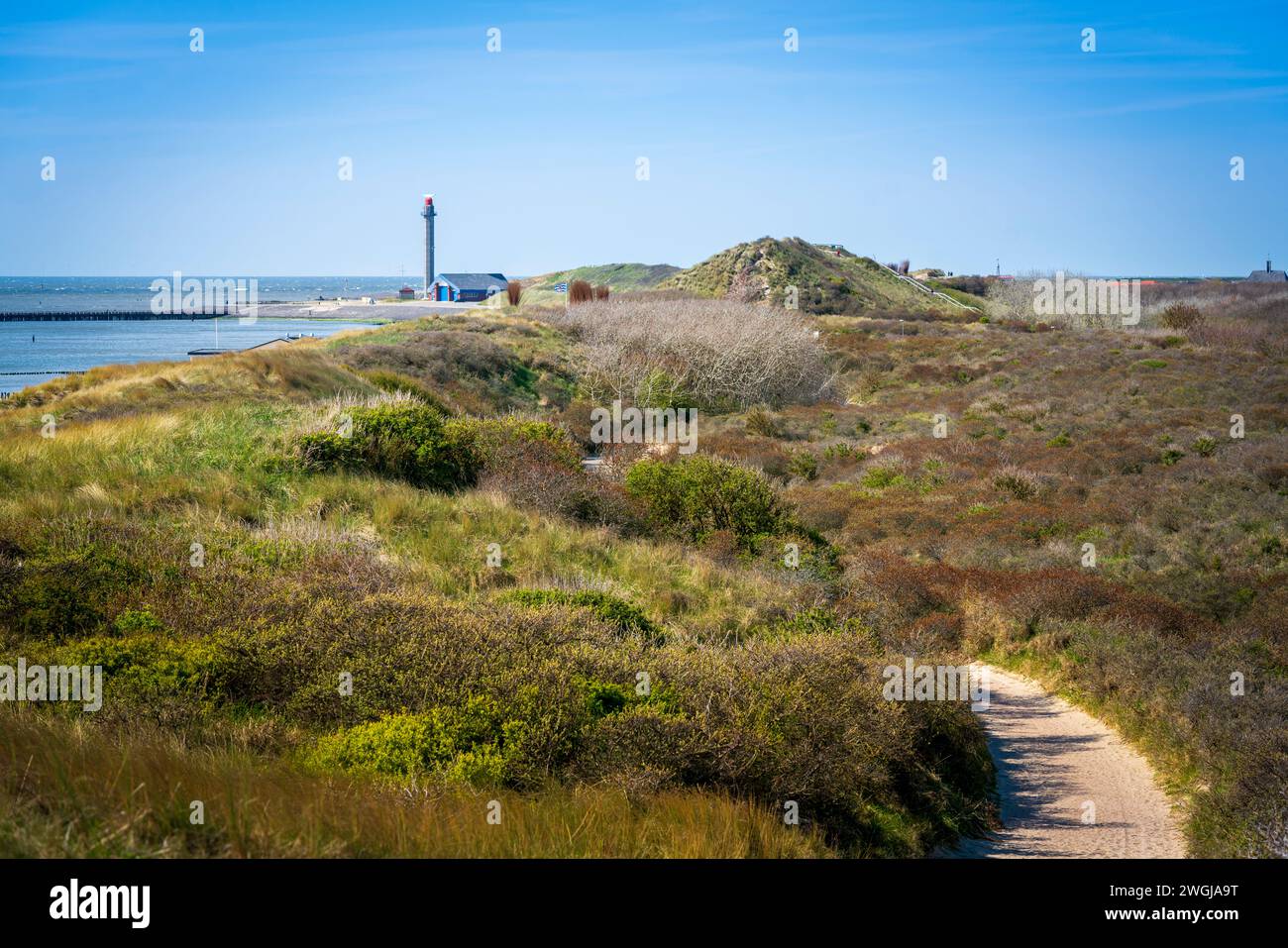 Un percorso tortuoso si snoda attraverso le dune erbose lungo la costa vicino a Westkapelle in una giornata di cielo azzurro, offrendo un viaggio tranquillo in mezzo alla natura Foto Stock