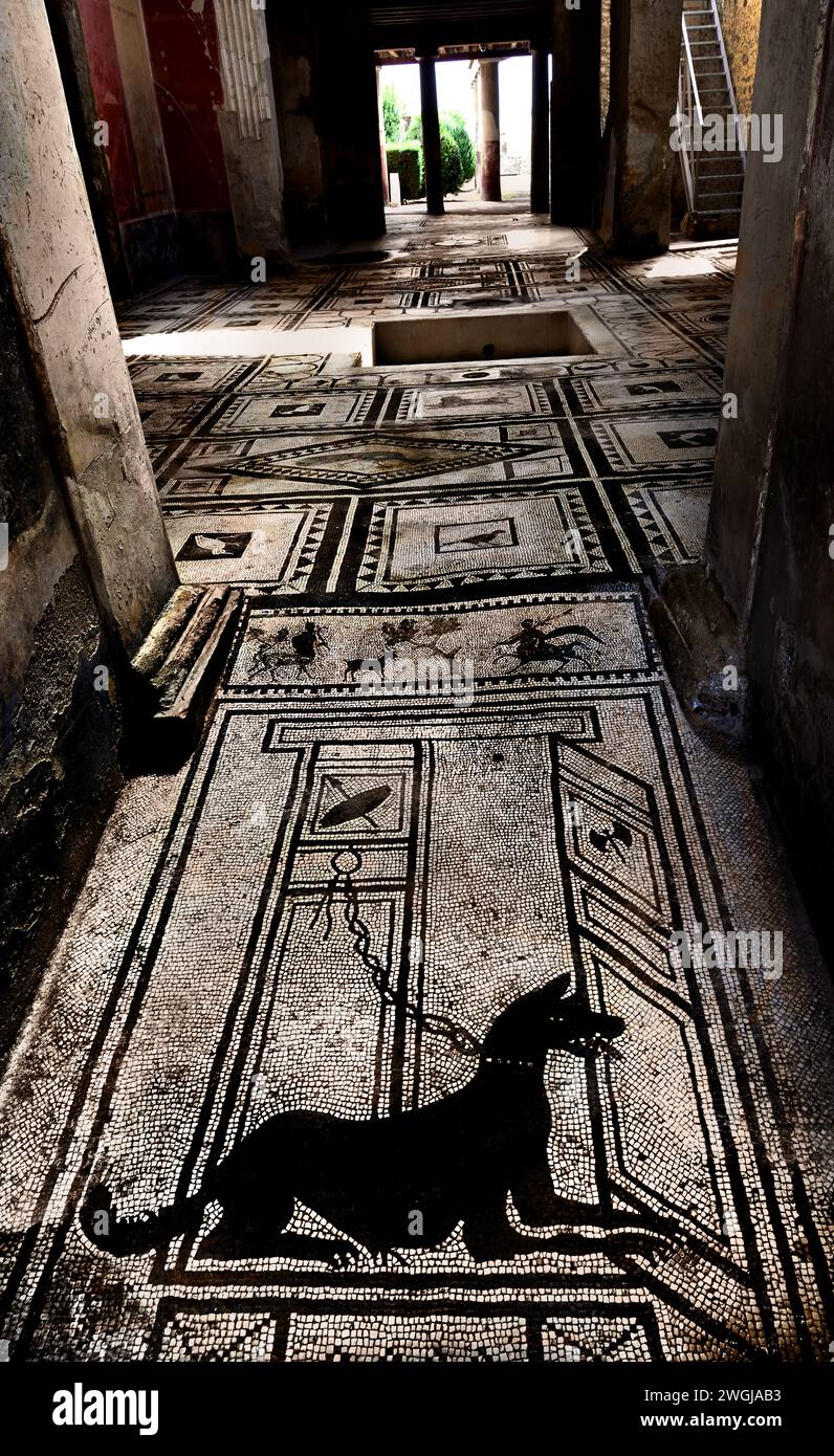 Il cane Mosiac a guardia della porta in una villa Pompei città Romana si trova vicino a Napoli, nella regione Campania d'Italia. Pompei fu sepolta sotto i 4-6 m di cenere vulcanica e pomice durante l'eruzione del Vesuvio nel 79 d.C. Italia Foto Stock