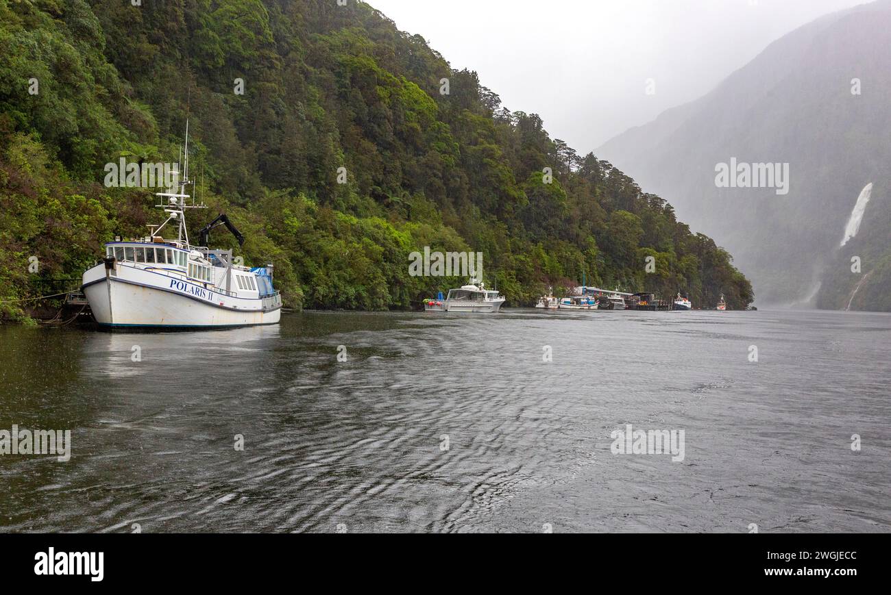 La nave di ricerca scientifica dell'Università di Otago il Polaris II e altre navi ormeggiate a Doubtful Sound / Patea, Fiordland / te Rua-o-te-Moko, New Foto Stock