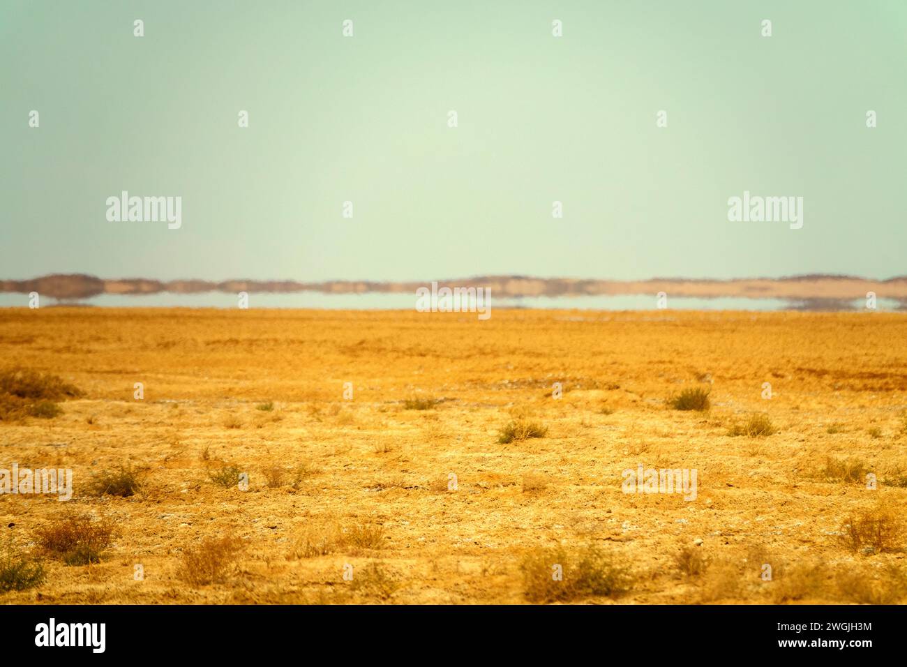 Deserti dell'Iran centrale (altopiano iraniano) in inverno. Deshte-Kevir - deserto salino con takyr argillosi. Appezzamento di deserto sabbioso-argilloso con arbusti sparsi. Da Foto Stock