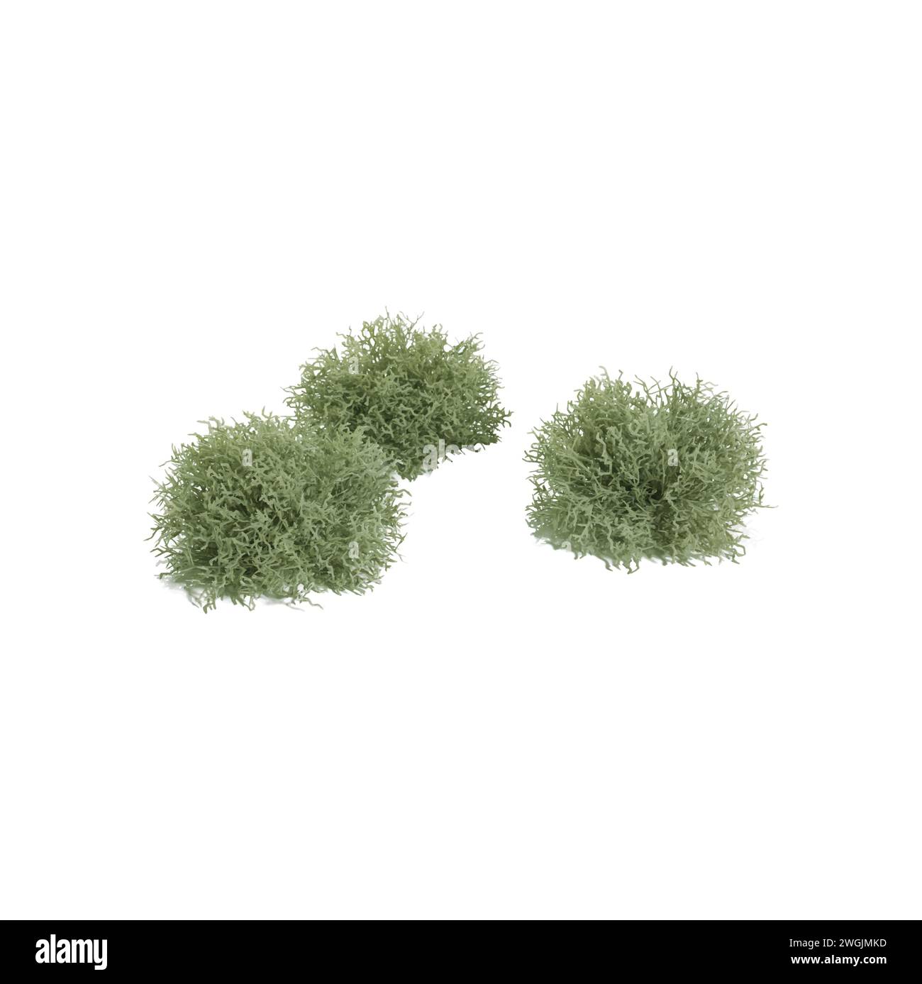 boccole verdi decorative per uso domestico vettoriali Illustrazione Vettoriale