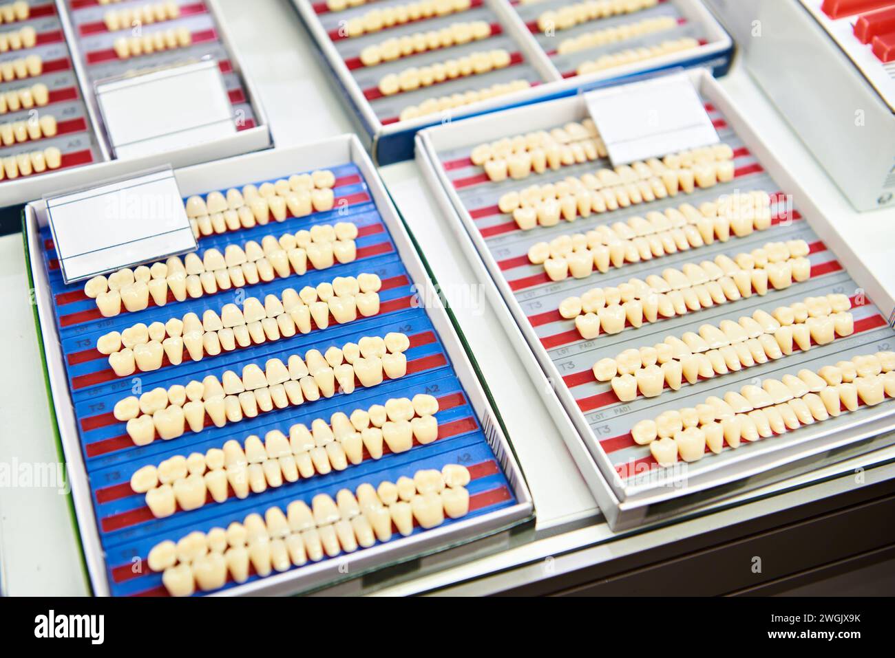 Denti acrilici a doppio strato sul bancone del negozio espositivo Foto Stock