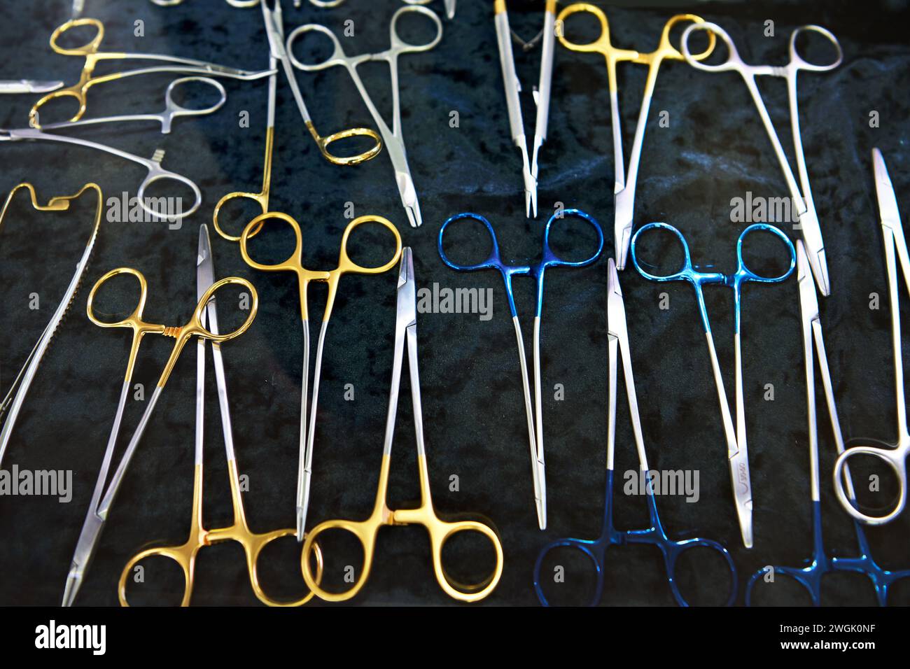 Pinze dentarie medicali su nero Foto Stock