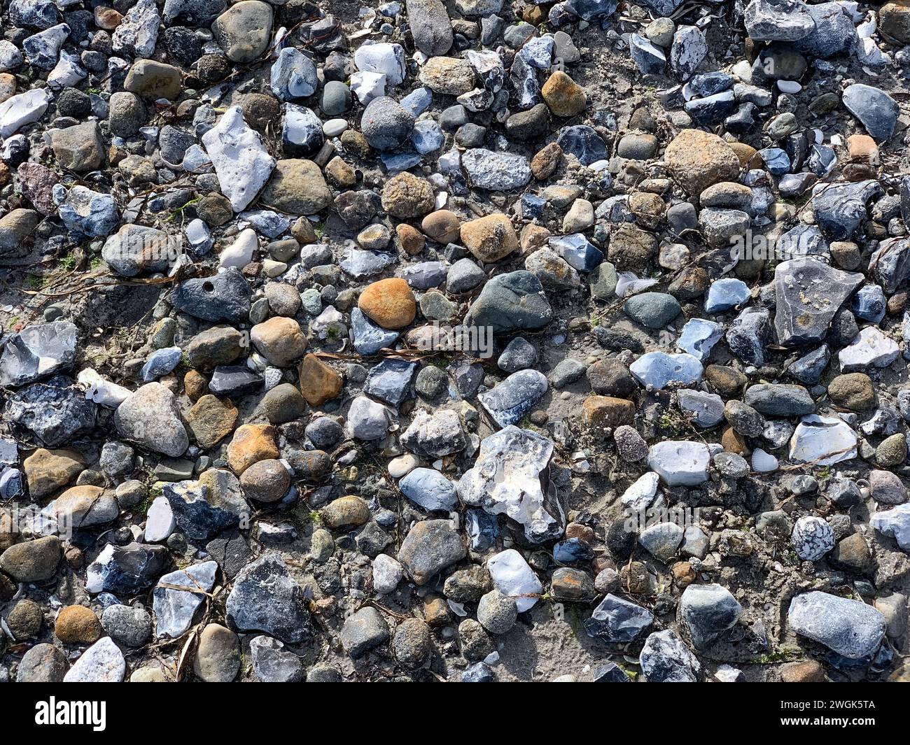 Texturen vom Strand mit Sand, Steinen und Muscheln für Hintergründe Foto Stock