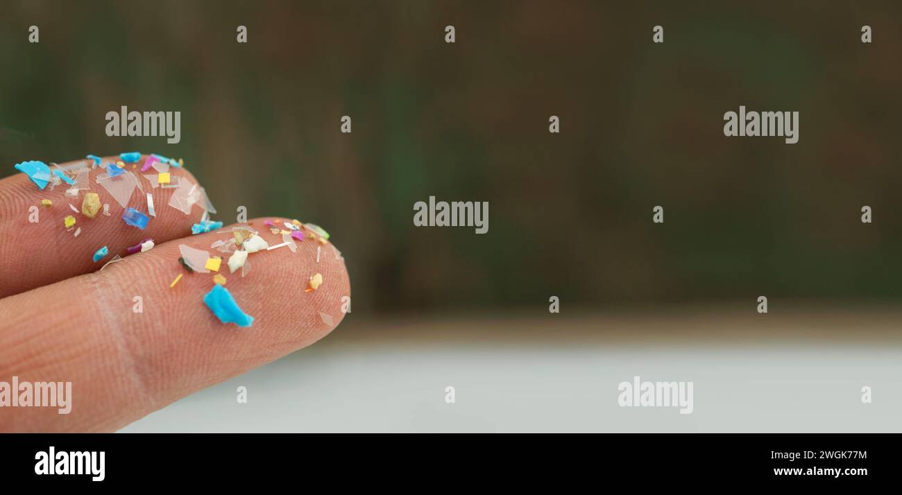 Primo piano di microplastica sulle dita umane. Concetto di inquinamento plastico con nanoplastiche. Messa a fuoco morbida su microparticelle di plastica Foto Stock