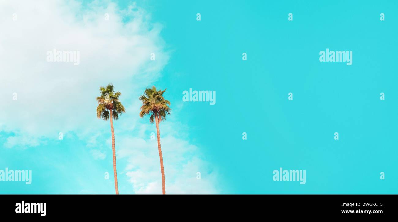 Due palme con un cielo blu con nuvole e spazio panoramico per copiare Foto Stock