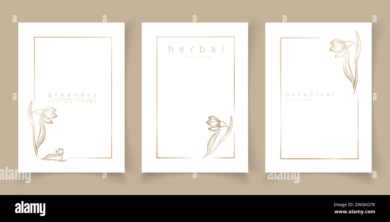 Set di telai sagome fioriere a goccia di neve in stile lineare minimalista disegnato a mano. Cornici eleganti. Illustrazione vettoriale botanica per etichette, corporate i Illustrazione Vettoriale