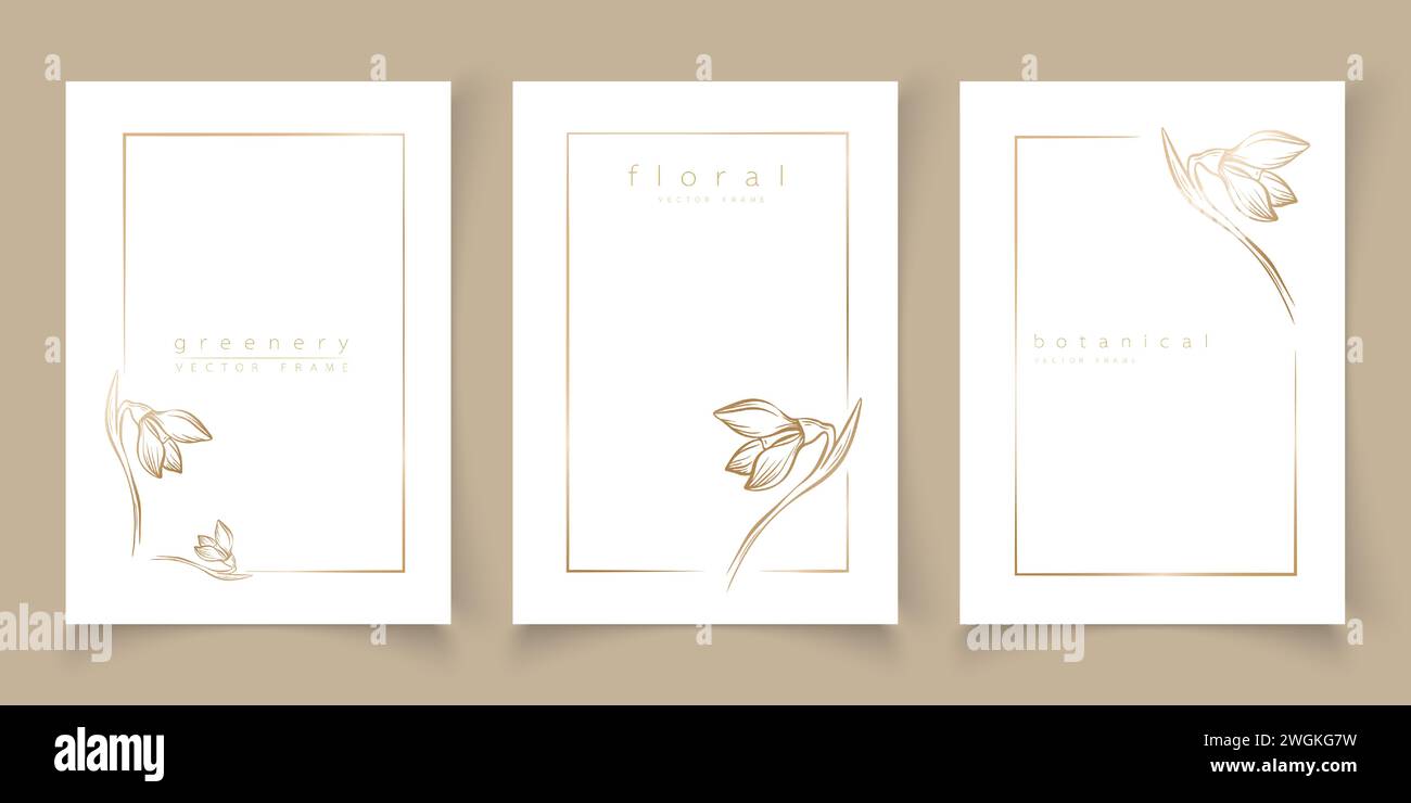 Set di telai sagome fioriere a goccia di neve in stile lineare minimalista disegnato a mano. Cornici eleganti. Illustrazione vettoriale botanica per etichette, corporate i Illustrazione Vettoriale