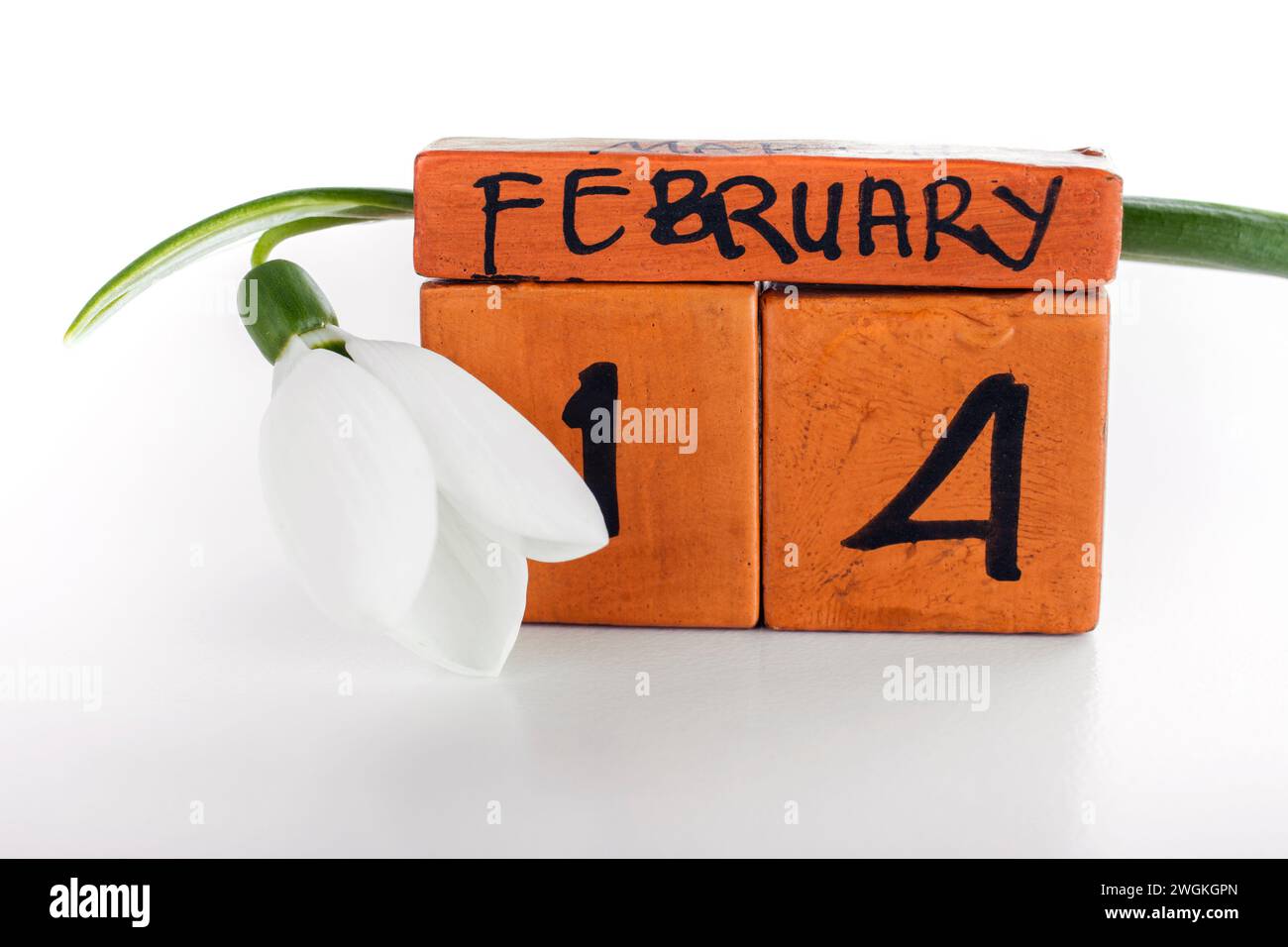 14 febbraio in calendario con una goccia di neve fiore Foto Stock