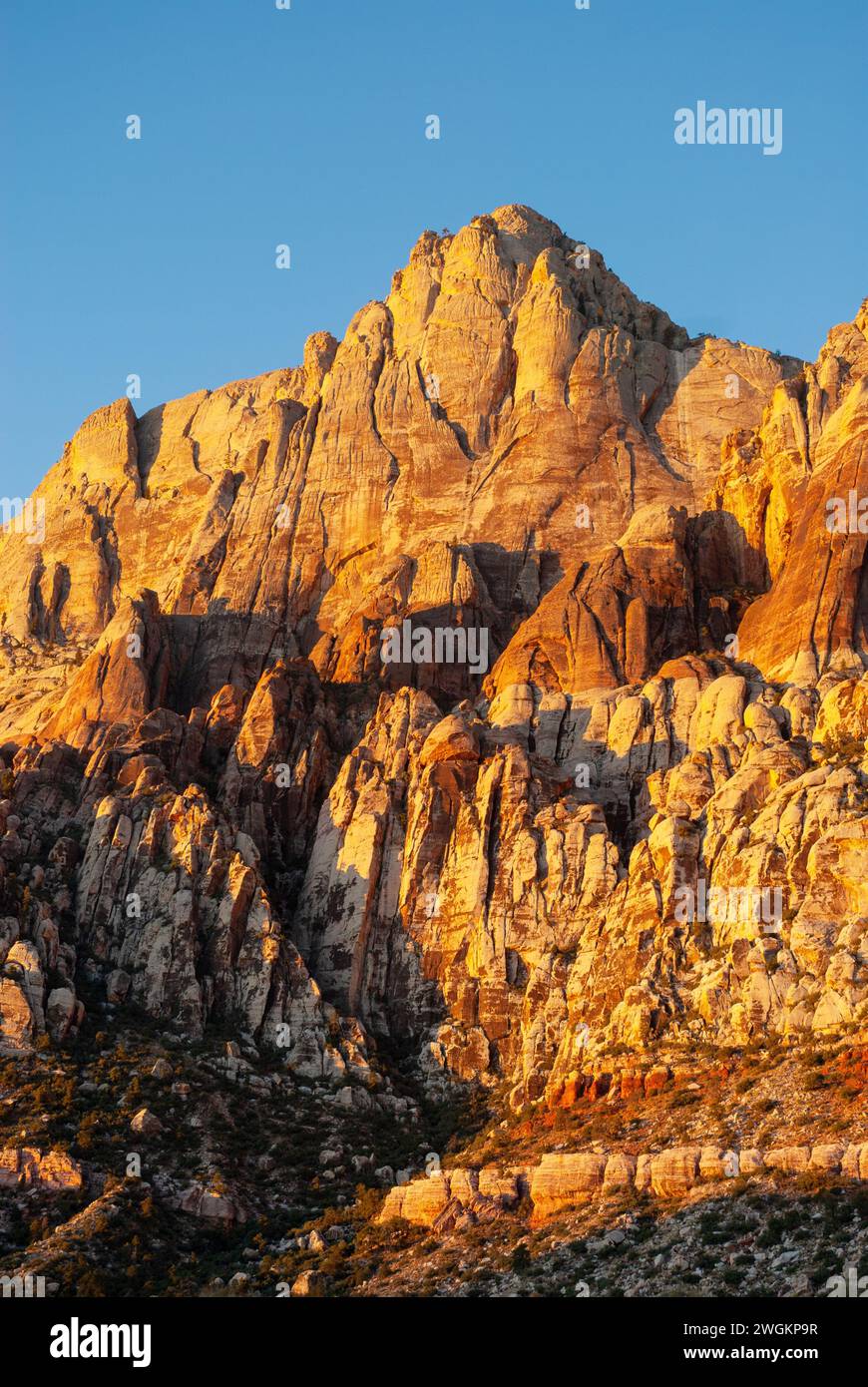 Il monte Wilson si erge sopra il deserto della Red Rock Canyon National Recreation area. Nevada. STATI UNITI Foto Stock