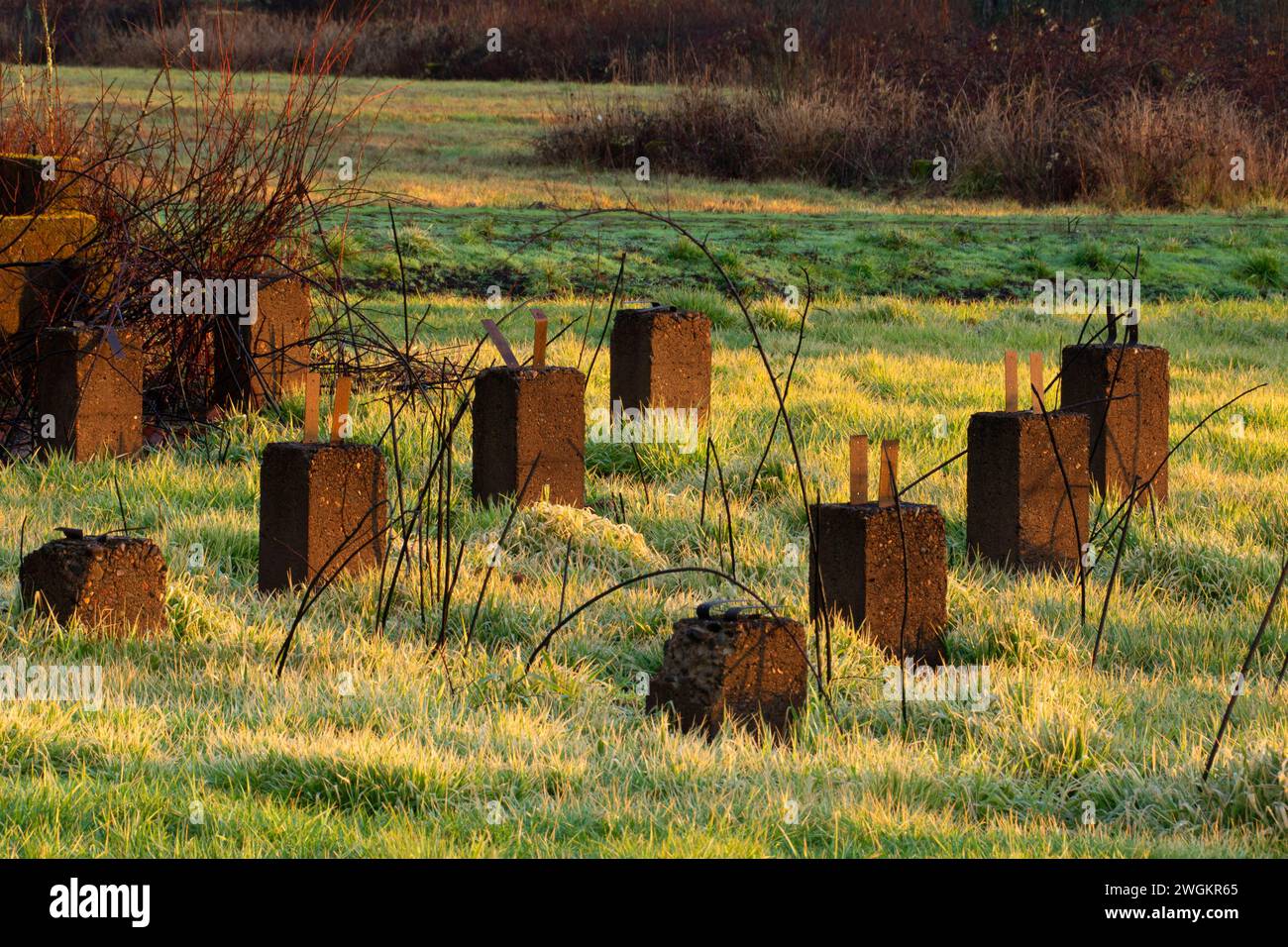 Camp Adair Ruin, EE Wilson Wildlife area, Oregon Foto Stock