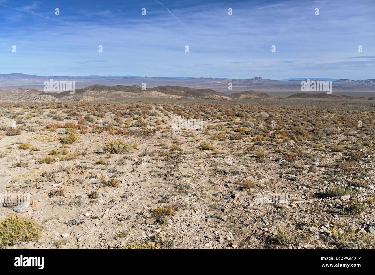 Vecchia e debole strada desertica del Nevada vicino a Tonopah Foto Stock