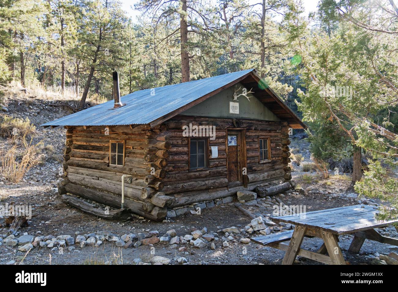 Capanna nascosta in legno della foresta nel Desert National Wildlife Refuge in Nevada Foto Stock