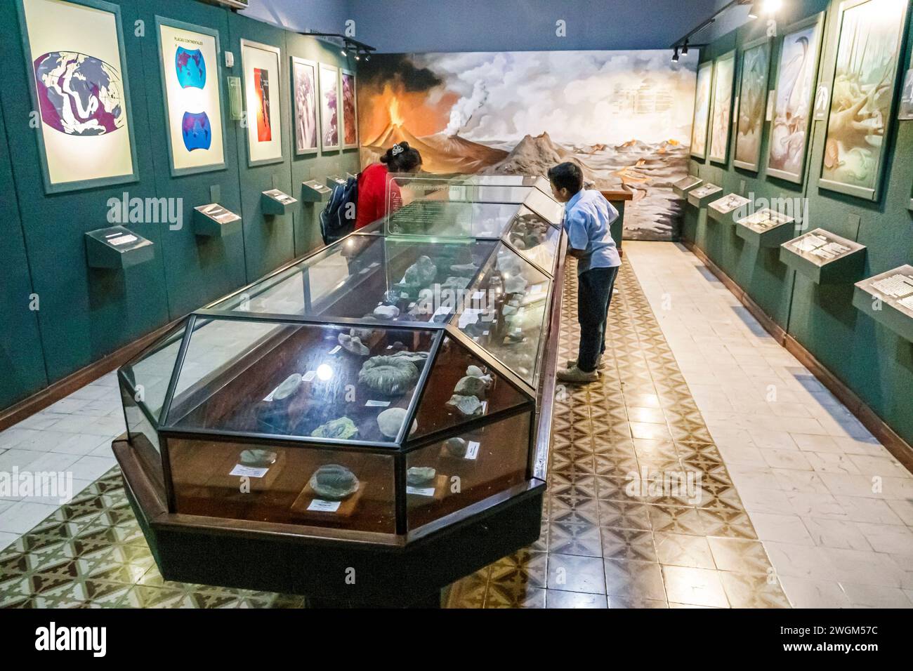 Merida Mexico, Centro, Museo de Historia Museo di storia naturale, mostre mostre espone collezioni, gallerie, volc tettonico Foto Stock