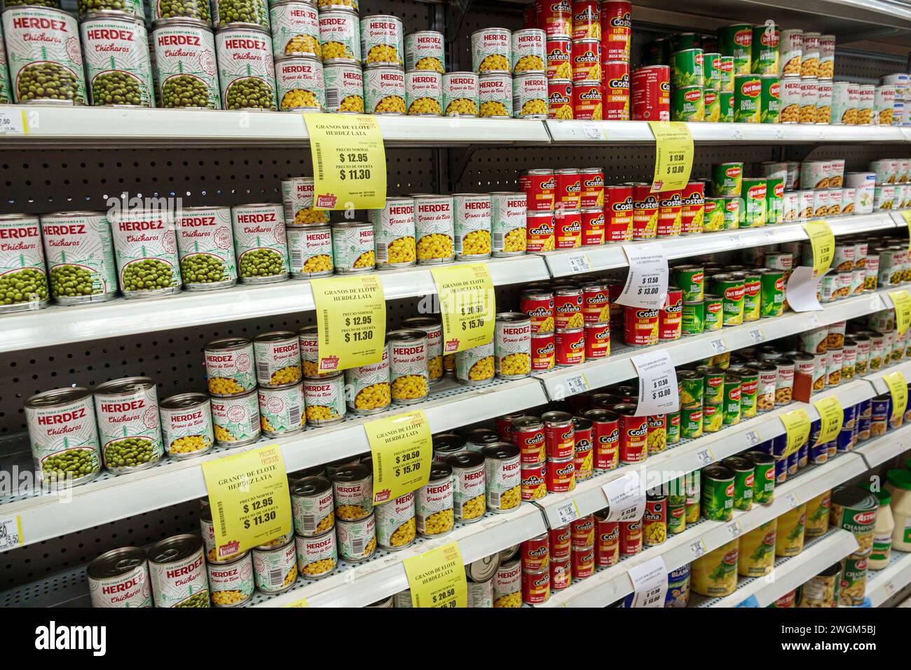 Merida Mexico, Barrio de Santiago Centro, Calle 72, Super Aki Santiago, supermercato, mercato alimentare, business, corridoio, interni Foto Stock