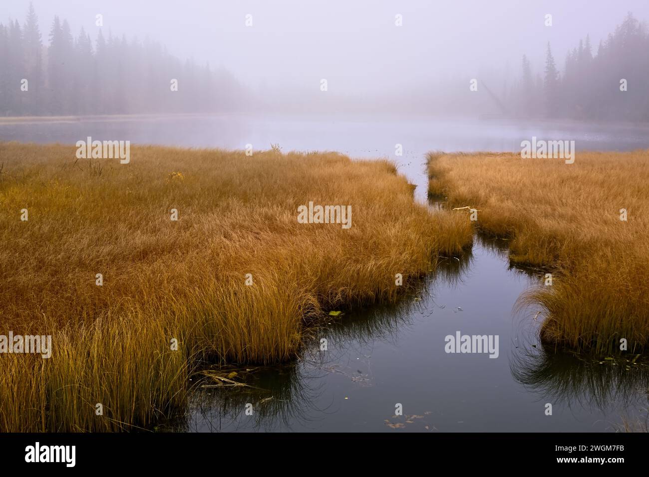 Mattina sul lago Maxwell con una nebbia mattutina Foto Stock
