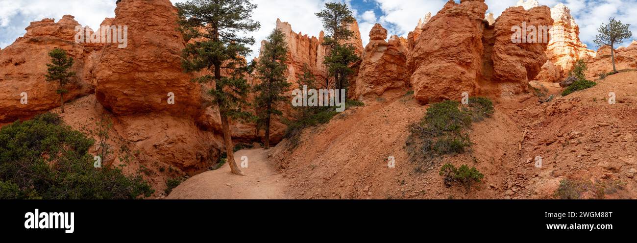 Panorama di Pines e Hoodoos dal basso nel Bryce Canyon Foto Stock
