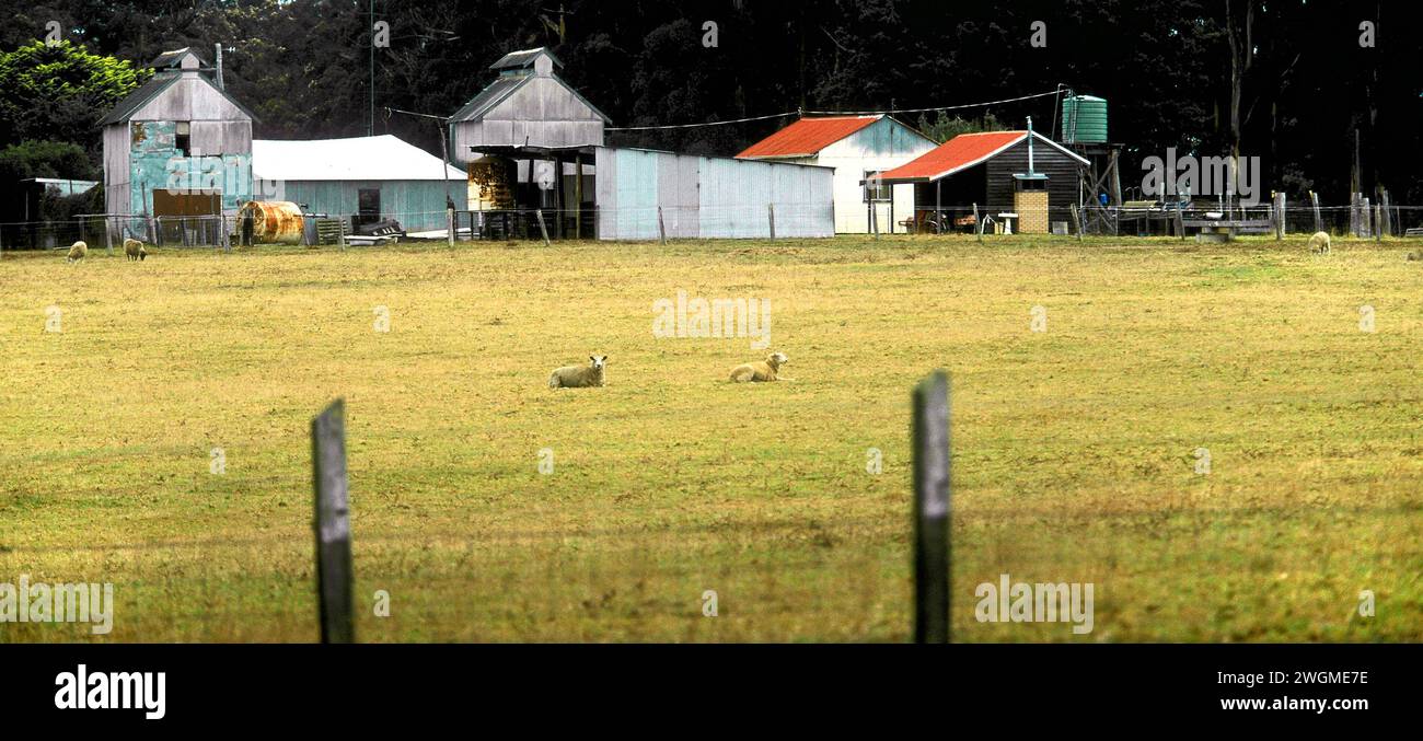 Insediamento agricolo, sud-ovest dell'Australia Foto Stock
