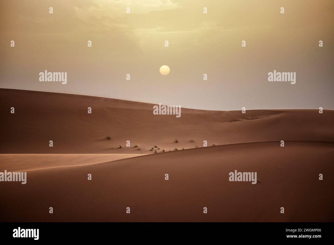 Tramonto sul deserto del Sahara. Il Sahara è un deserto che attraversa il Nord Africa. Con un'area di 9.200.000 km² (3.600.000 km²), è il più grande deserto caldo del mondo e il terzo deserto più grande in assoluto, più piccolo solo dei deserti dell'Antartide e dell'Artico settentrionale. Marocco. Foto Stock