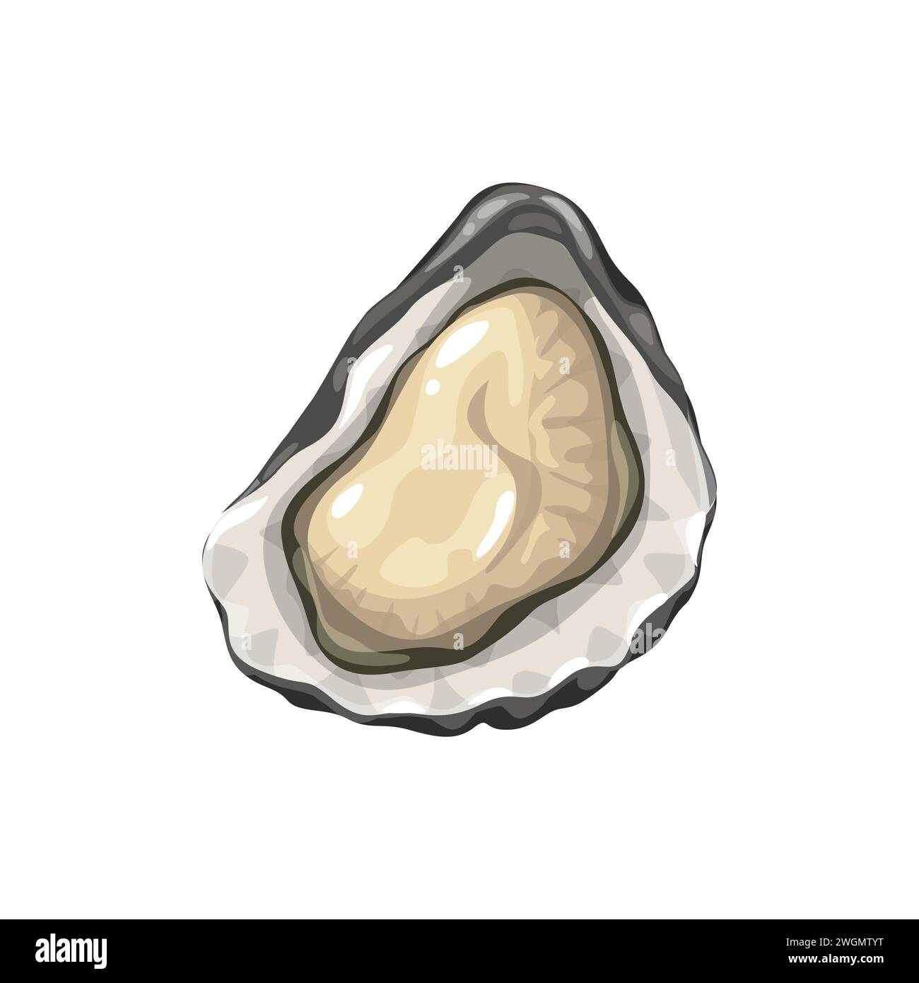 Ostriche, cucina a base di pesce a cartoni animati o delicatessen molluschi a base di pesce, vettore isolato. Guscio di ostriche aperto per gourmet di cucina di pesce, menu del ristorante o cucina e prodotti del mercato del pesce Illustrazione Vettoriale