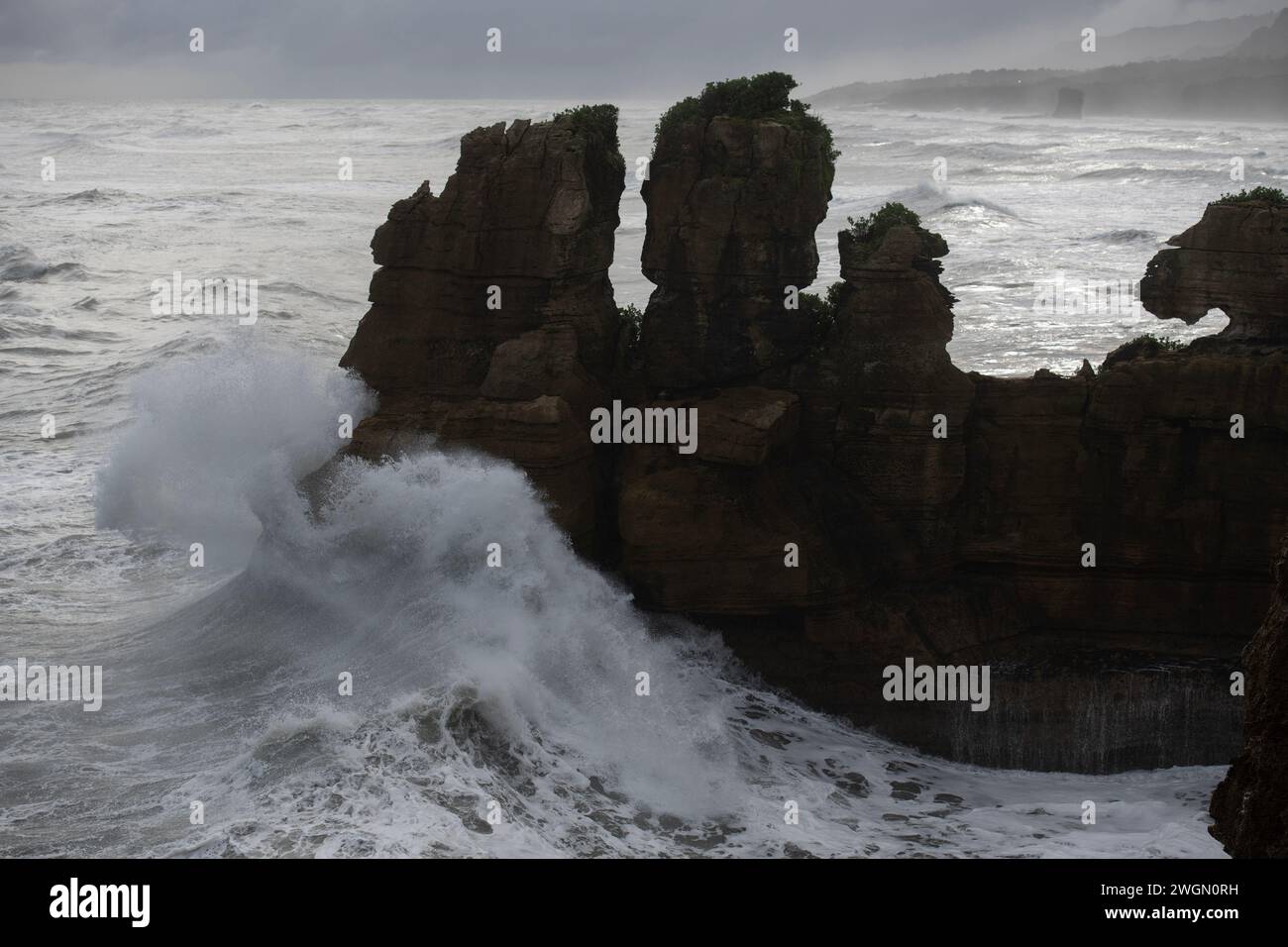 Formazioni rocciose erose per assomigliare a varie creature, Pancake Rocks, Punakaiki, West Coast Region, South Island, nuova Zelanda Foto Stock