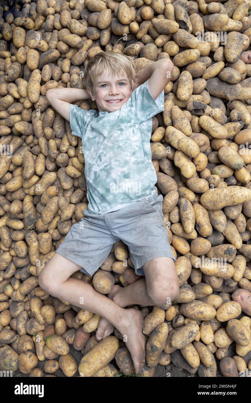 gioioso ragazzo a piedi nudi di 7 anni giace su una grande pila di patate appena tritate. impegnarsi nell'agricoltura biologica. Buon raccolto, piccolo aiutante. agricoltura. somma Foto Stock