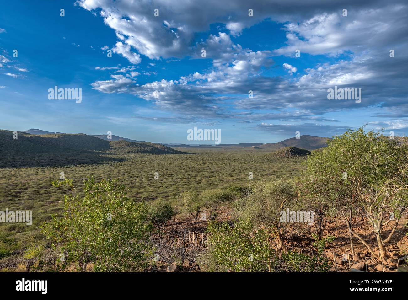 Vista del paesaggio di Oubokberg vicino a Omaruru, regione di Erongo, Namibia Foto Stock