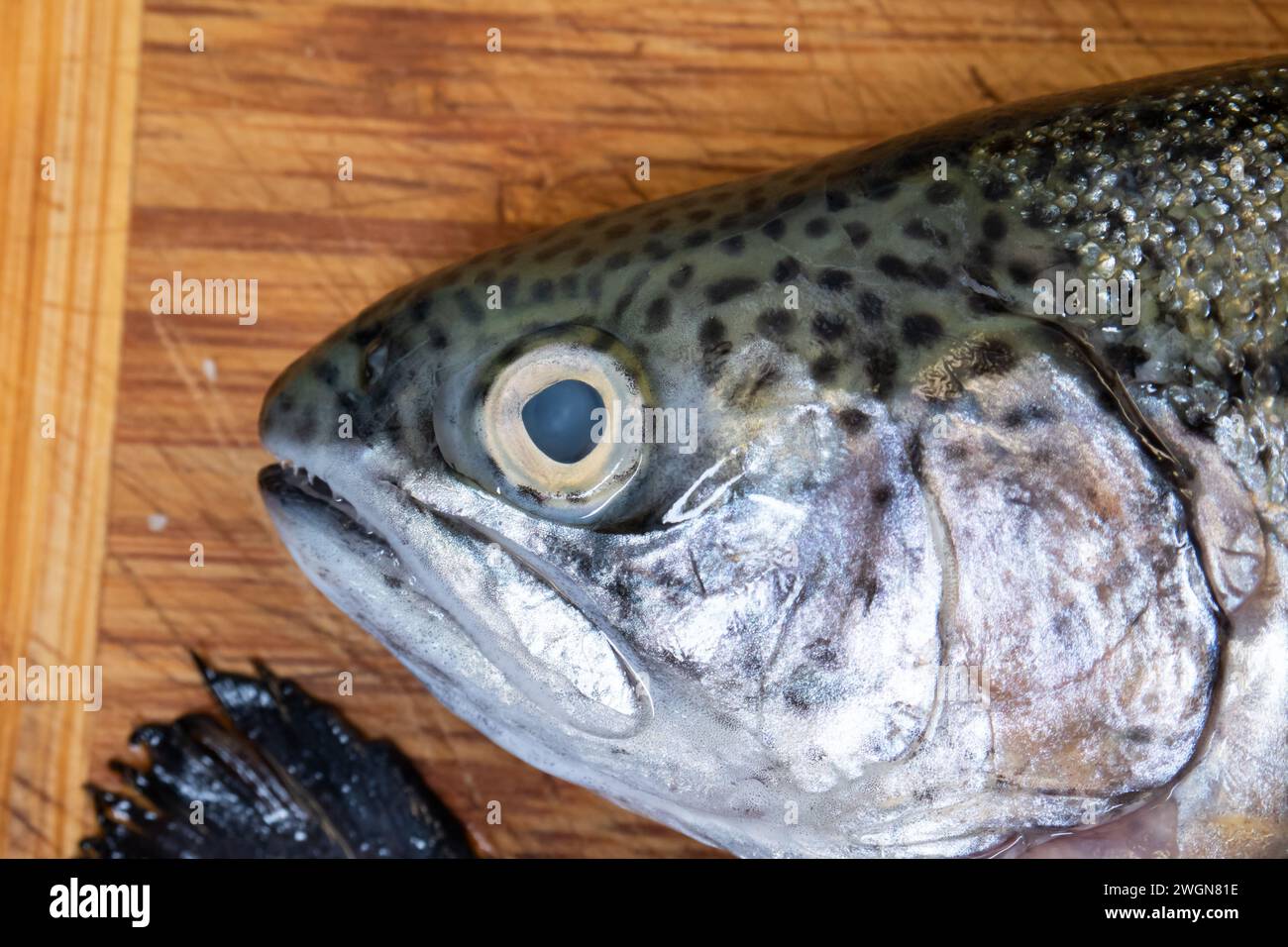 Testa di pesce crudo crudo e crudo su un tavolo di legno da cucina, primo piano verso il basso Foto Stock