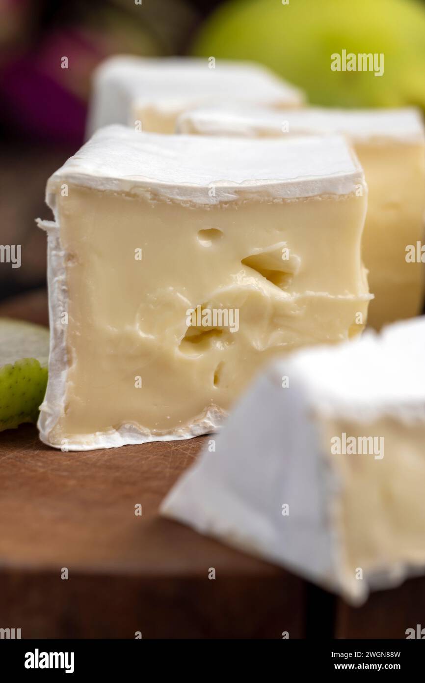 formaggio cremoso morbido con muffa bianca e formaggio fuso ammuffito Foto Stock